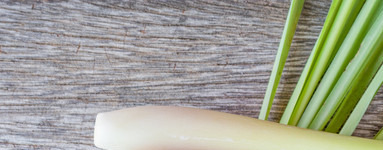 Olje limonske trave (Cymbopogon citratus)